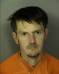 TOLSON, MICHAEL ANDREW FAILURE TO APPEAR, COUNTY OR MUNICIPAL ORDINANCE  SUMMONS