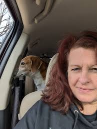 Update: found owner..bywood vet scanned for a chip and called owner..jist  dropped him off! Buck is home!! Anyone missing a hound type older dog in Drexel  Hill? Caught him running down old