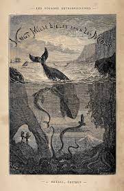 Nemo drugs their food so that they fall asleep after dinner. Twenty Thousand Leagues Under The Seas Wikipedia
