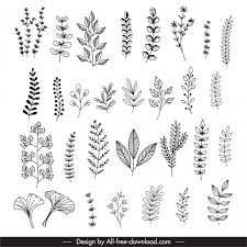 Top suggestions for gambar daun hitam putih. Gambar Bunga Dan Daun Hitam Putih