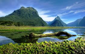 Visit these amazing natural wonders of new zealand! Wallpaper Forest Sky Trees Landscape New Zealand Nature Water Mountains Clouds Stones Trunk Milford Sound Moss National Park Fjord Images For Desktop Section Pejzazhi Download