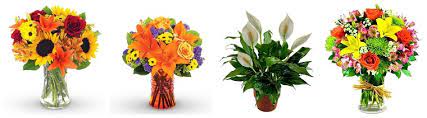 Iowa city was created by an act of legislative assembly of the iowa territory on january 21, 1839, fulfilling the desire of governor robert lucas to move the capital out of burlington and closer to the center of the territory. The 6 Best Options For Flower Delivery In Waterloo 2021