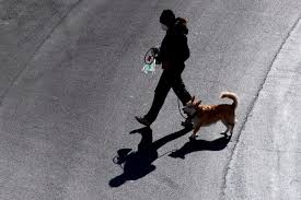 Mais il peut exister des restrictions spécifiques : Promener Son Chien Au Temps De La Covid 19 La Presse