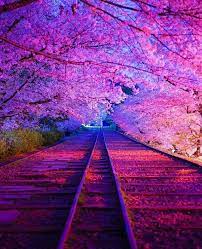 How To Set Terminal Goals Oliver Priest Cool Pictures Of Nature Nature Pictures Nature Photography