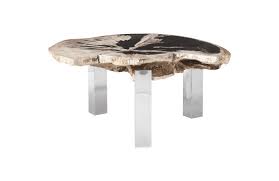 5 out of 5 stars (1,367) $ 96.87. Petrified Wood Coffee Table Stainless Steel Legs