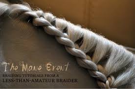 Add some flair to braided hairstyles for short hair with a seasonal inspired dye job. Horse Braid Types