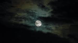 Find photos of night sky. Creepy Full Moon Black Sky Stock Video Motion Array