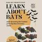 Dark Sky Presentation – Learn About Bats event image