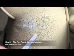 Check spelling or type a new query. How To Repair Cat Scratches On Leather Youtube