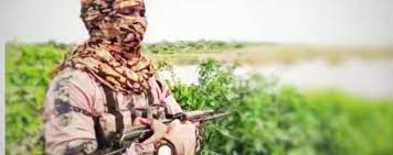 Boko haram's elusive leader abubakar shekau appeared in a new video on thursday disputing a claim by nigerian president muhammadu buhari that the jihadist group had been routed from its sambisa forest stronghold. Boko Haram Releases New Video Confirms Link With Terror Groups In Niger State Humangle