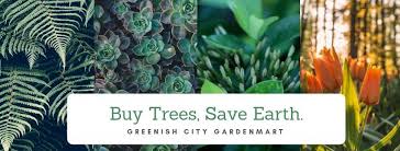 Green plant society, 3a jalan beriksa 3, 11500 ayer itam, penang, 10:00am to 7:00pm daily see also garden centres in penang and garden centres & plant nurseries in malaysia map of roads in penang. Greenish City Gardenmart Plants Nursery Landscape Home Facebook