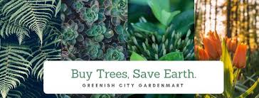 You can find almost anything you need at quite reasonable prices. Greenish City Gardenmart Plants Nursery Landscape Home Facebook