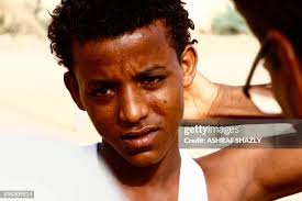 312 Jay Estes Stock Photos, High-Res Pictures, and Images