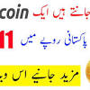 Pakistani rupee is sibdivided into 100 paisa (not used). 1