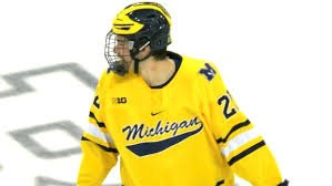 Logan mailloux contract, salary, cap hit, salary cap, career earnings, lifetime earnings, aav, advanced stats, transaction history, trade history, and rfa or ufa free agent status Craig Button List Owen Power Nhl Draft Tsn Ca