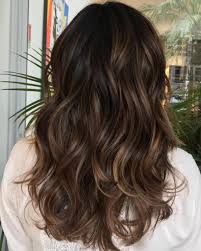 Balayaged Layers For Thick Hair Thick Hair Styles Balayage Hair Hair Styles