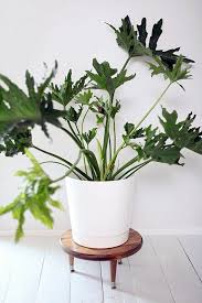 Is it only meant for indoor rooms? Diy Projects Homemade Plant Stand For Your Space Interior Design Ideas Avso Org