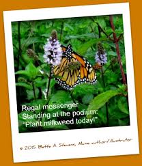 A Monarch Butterfly Haiku By Bette A Stevens Monarch Butterfly Monarch Nature Inspiration