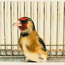 Pin De Sezar En Places To Visit