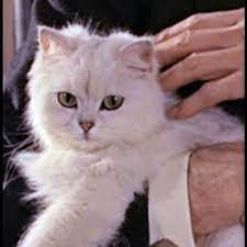 11 видео 352 просмотра обновлен 29 июл. Blofeld On Twitter Armer Lou War Mal Ein Mann Und Jetzt Wird Er Von Ner Transsexuellen Ehemaligen Prostituierten Im Tv Gedemutigt Oh Wait Sommerhaus Https T Co 1286emobxe