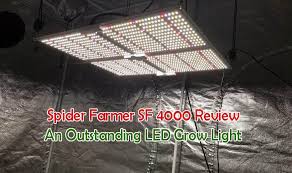 Maybe you would like to learn more about one of these? Spider Farmer Sf 4000 Review Led Grow Lights Grow Lights Led Grow