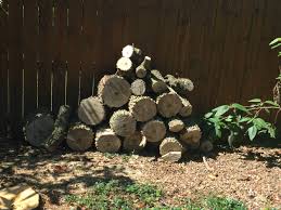 Best firewood 100% guarantee, free mulch and firewood delivery to greater saint louis area. Emily Wood Emilywoodtv Twitter