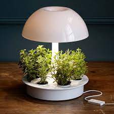We carry hydro crunch, feit electric, viavolt and more. Agrobrite Desktop Plant Light Pflanzenlampe Zimmerpflanzen Ideen Wachsenden Pflanzen