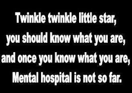 Twinkle Twinkle Funny Poems Funny Insults Fun Quotes Funny