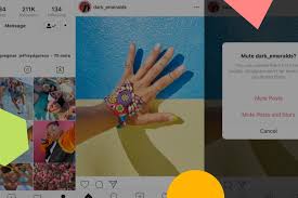 Use the search bar to find the account quickly. How To Mute Instagram Accounts Without Unfollowing Them Later Blog
