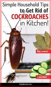 How To Get Rid Of Cockroaches In Kitchen Using Simple Household Tips Household Hacks Cockroaches Rid