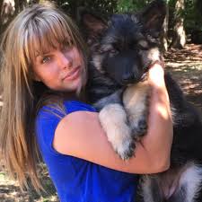 Smooth coat shiloh shepherd from shiloh shepherd puppies for sale. Genesis Shilohs Home Facebook