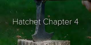 Chapter 4 Hatchet Diagram Quizlet