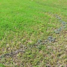 In some cases we deliberately use. Slimy Meaning In Tamil