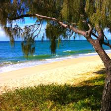 Woodgate Beach Queensland Australia Australia Landscape Beautiful Beaches Australia Travel