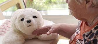 Paro centre for women's enterprise is excited to offer a new online training program to its parobiz members, and peer lending circles all across ontario. Paro Wohlfahrtswerk