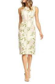 Free Shipping And Returns On Dress The Population Penelope Lace Cocktail Dress At Nordstrom Cocktail Dress Lace Trendy Cocktail Dresses Cocktail Dresses Online