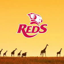 Queensland reds logo png the queensland reds play in the southern hemisphere's super rugby competition representing the australian state of queensland. South African Queensland Reds Supporters Club Home Facebook