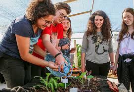 This is colégio renascença by gilson antunes rodrigues on vimeo, the home for high quality videos and the people who love them. Colegio Renascenca Laboratorio De Energias Renovaveis E Teto Verde Tem