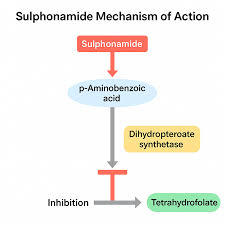Image result for Sulfonamide