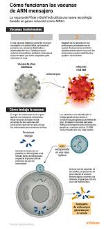 La farmacéutica pfizer ha revolucionado las previsiones sobre la pandemia tras anunciar ayer, lunes, que su vacuna contra el coronavirus tiene una eficacia superior al 90%. Las Vacunas De Arn Mensajero Tienen Un Enorme Potencial En La Medicina Del Futuro Infobae