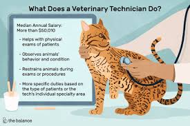 Pet Sitter Job Description Salary Skills More Veterinarians Dog Boarding Reptile Enclosure Horse Care Reptile In 2020 Veterinary Veterinary Technician Pet Sitters