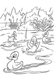 Aug 01, 2013 · young kids are especially fond of these birds who love to chase them around in meadows and ranches. Free Easy To Print Duck Coloring Pages Coloring Pages Farm Coloring Pages Duck Coloring Pages