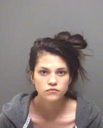 Morgan County Arrest Reports 11/12/13