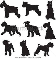Black And White Mini Schnauzer Clipart Outline Schnauzer Google Search Dog Silhouette Schnauzer Dogs Mini Schnauzer