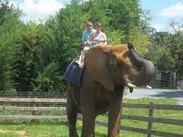 Pin On Been There Done That