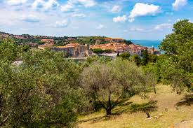 Trop souvent négligée, elle est pourtant le socle de la réussite du définition de l'étude de marché : Navettes Au Depart D Argeles Roussillon Croisieres