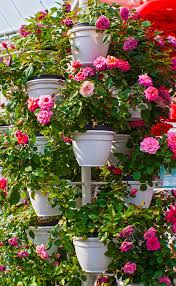 Eine schöne alternative zur rechteckigen rabatte bietet das inselbeet. 10 Garten Ideen Die Du Noch Nicht Kennst Lass Dich Inspirieren