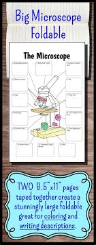 I'm sure kids would love all of these free printable science. Lab Safety Coloring Pages Learny Kids