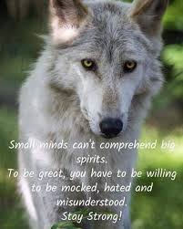 Pin By Fabiana Lopez On Books In 2020 Wolf Quotes Lone Wolf Quotes Warrior Quotes
