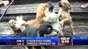 Try the craigslist app » android ios cl. Stolen Dogs Found Through Craigslist Ad Youtube